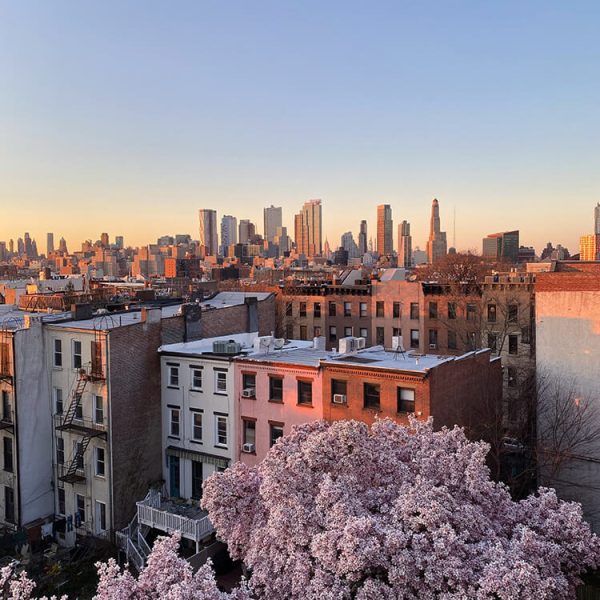 linmiao-xu-60qA6VQGeyA-unsplash linmiao-xu-60qA6VQGeyA-unsplash